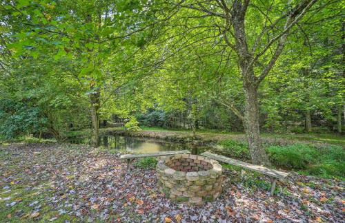 Deep Gap Cottage with Fire Pits - Hike and Ski! - Foto 33