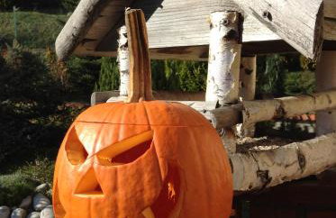 Willa Wierchy - Foto 39