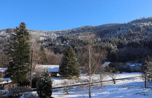 Gîte Le Clos des Vosges - Foto 26
