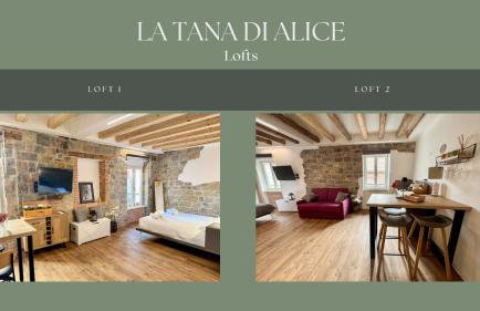 La Tana di Alice - Lofts - Foto 3