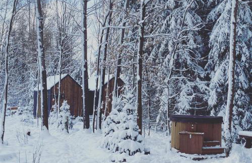 Odpoczynek Domki Pod Dębem z Opcją Jacuzzi - Foto 47