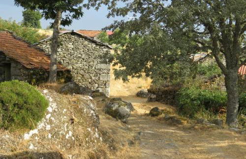 Comfortable Rural Cottage in Ancient Village in the Douro Region - Photo 75