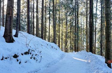 Pod Srebrzystym Świerkiem - Jacuzzi - Foto 48