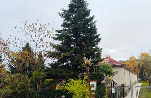 Kerkétio guesthouse - Photo 17