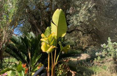 Tranquilité - Foto 6