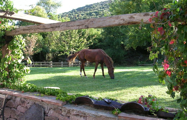 Sas Abbilas - Foto 6