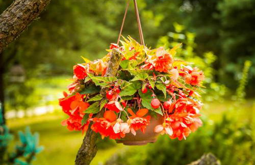 tuŻur domki nad potokiem - Foto 20