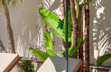 Vergina Apartments & Suites - Foto 26