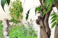 Villa Frantina - Foto 32