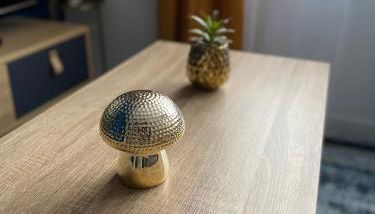 Superbe T2 style scandinave - Photo 3