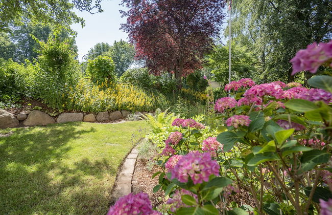 Apartment-Hotel Dieksee Eck - Foto 77