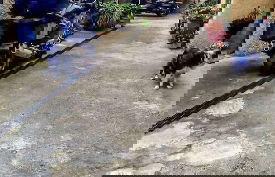 Affittacamere La Corte di Quiliano - Photo 26