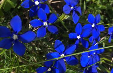 MaisonNel Gîte - Foto 36