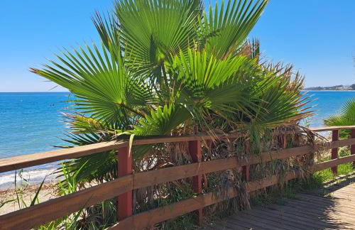 Hello Cosmo - Photo 39