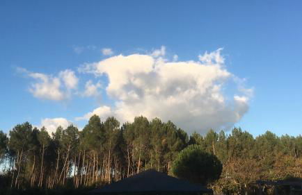 La maison d'été de mes parents - Foto 14