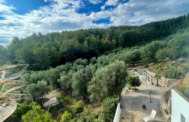 Novecento Country House - Foto 6