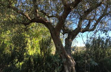 Villa Valentina - Foto 56