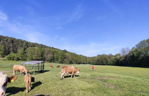 Ferienwohnung Gutzeit - Photo 22
