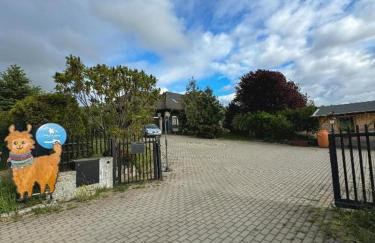 Agroturystyka Alpakolandia Góra Szybowcowa - Foto 6