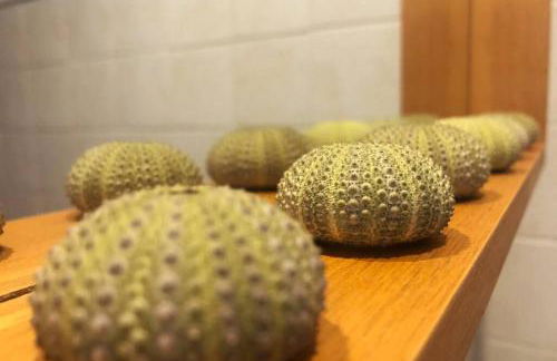 CASA GRANADO en Cabo de Gata - Foto 13