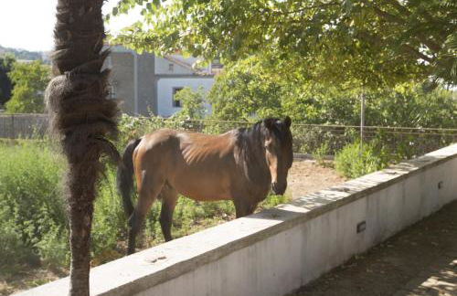 Villa Indipendente Panoramica, terrazze e giardino - Foto 57