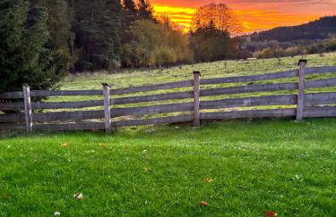 Okno na las - Foto 37