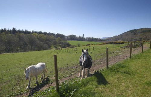 Balnacraig Farmhouse - Photo 17