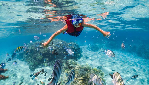 Snorkelling on Tiran Island - Foto 5