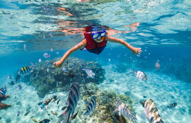 Excursão de barco e snorkel na Ilha Tiran - Foto 6
