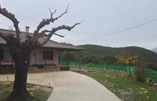 Κτήμα Βασίληγιάννη - Foto 73