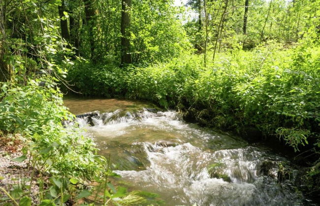 Peaceful Escape, Malmedy - Foto 32