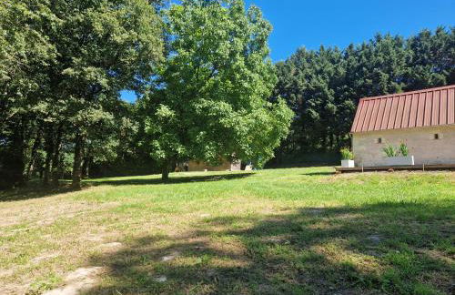 Domaine des Aulnaies - Beauval - Mareuil sur Cher - Foto 18