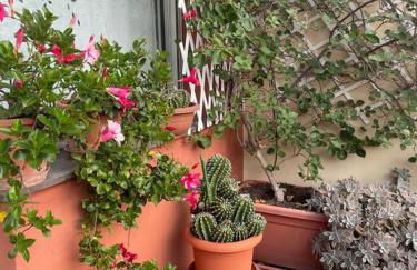 La casa di Teri a Chiavari - Photo 15