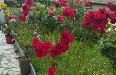 Nice apartment 1 hour from Paris and 45 minutes from Orléans - Photo 5