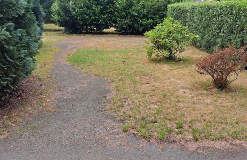 Exclusives Ferienhaus am Kulkwitzer See - Photo 54