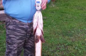 DOM NaD JEZIOREM - Foto 30