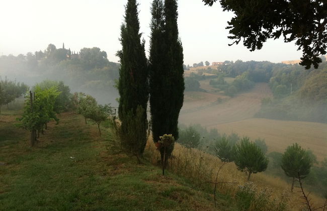 Cottage In The South Of Tuscany - Photo 10