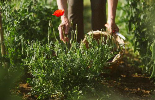 Villa Venti - Craft Wine & Hospitality - Foto 45