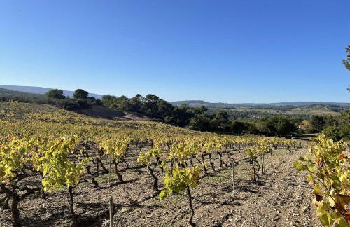 LES ROCHES - Photo 18