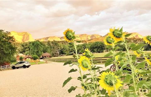 Arrowhead Country Cabins - Foto 38