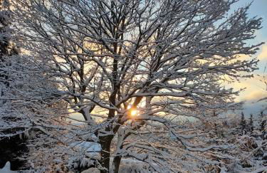 Le chalet de Rothenbuhl - Photo 30