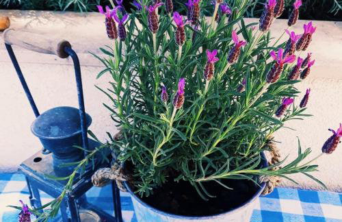 Villa SARA - Photo 22