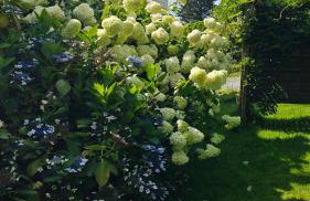 Maison avec Spa en bord de mer - Foto 26