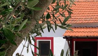 Monte do Pereiro - Foto 4