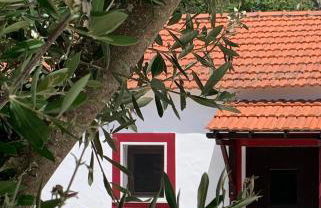 Monte do Pereiro - Foto 4