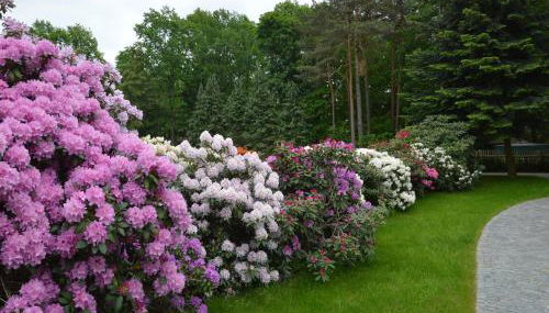 Ferienquartier Goethe33 - Foto 2, Garden view