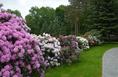 Ferienquartier Goethe33 - Foto 2