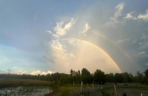 Half Moon Lake property - Foto 18