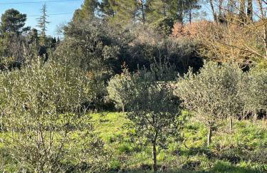 Villa la Roma - Photo 21