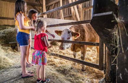 Urlaub am Regen – Ferienhof Dirnberger - Foto 80
